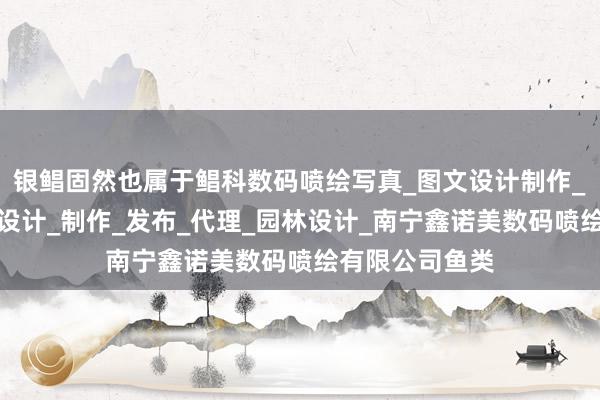 银鲳固然也属于鲳科数码喷绘写真_图文设计制作_国内各类广告设计_制作_发布_代理_园林设计_南宁鑫诺美数码喷绘有限公司鱼类