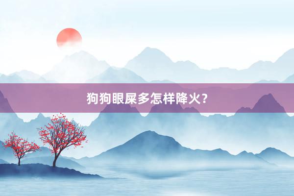 狗狗眼屎多怎样降火？